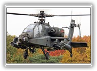 2010-10-29 Apache RNLAF Q-10_4